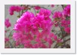 DSC001 (109) * 3008 x 2000 * (1.56MB)